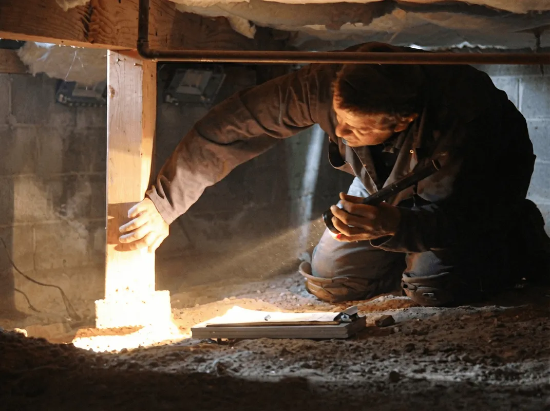 A professional inspecting wooden beams under the floor of a structure in Columbia, SC